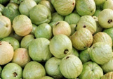 Guava