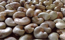 Raw Cashewnut