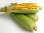 sweet-corn